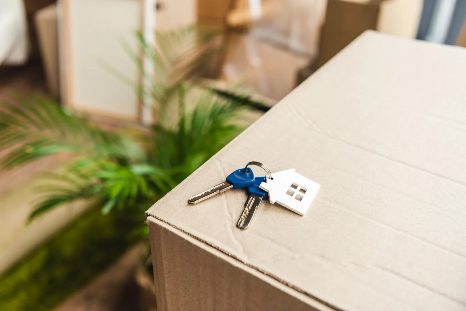 utah dd home setters mobile home movers mobile home movers dd home setters utah