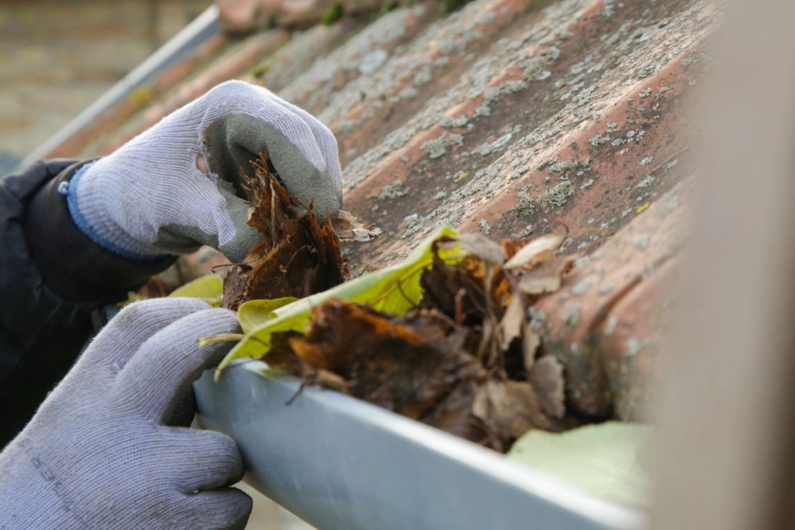 How Drainage Problems Can Affect Your Mobile Home Site